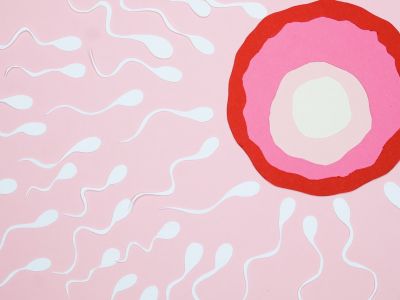 5 mitova o spermi